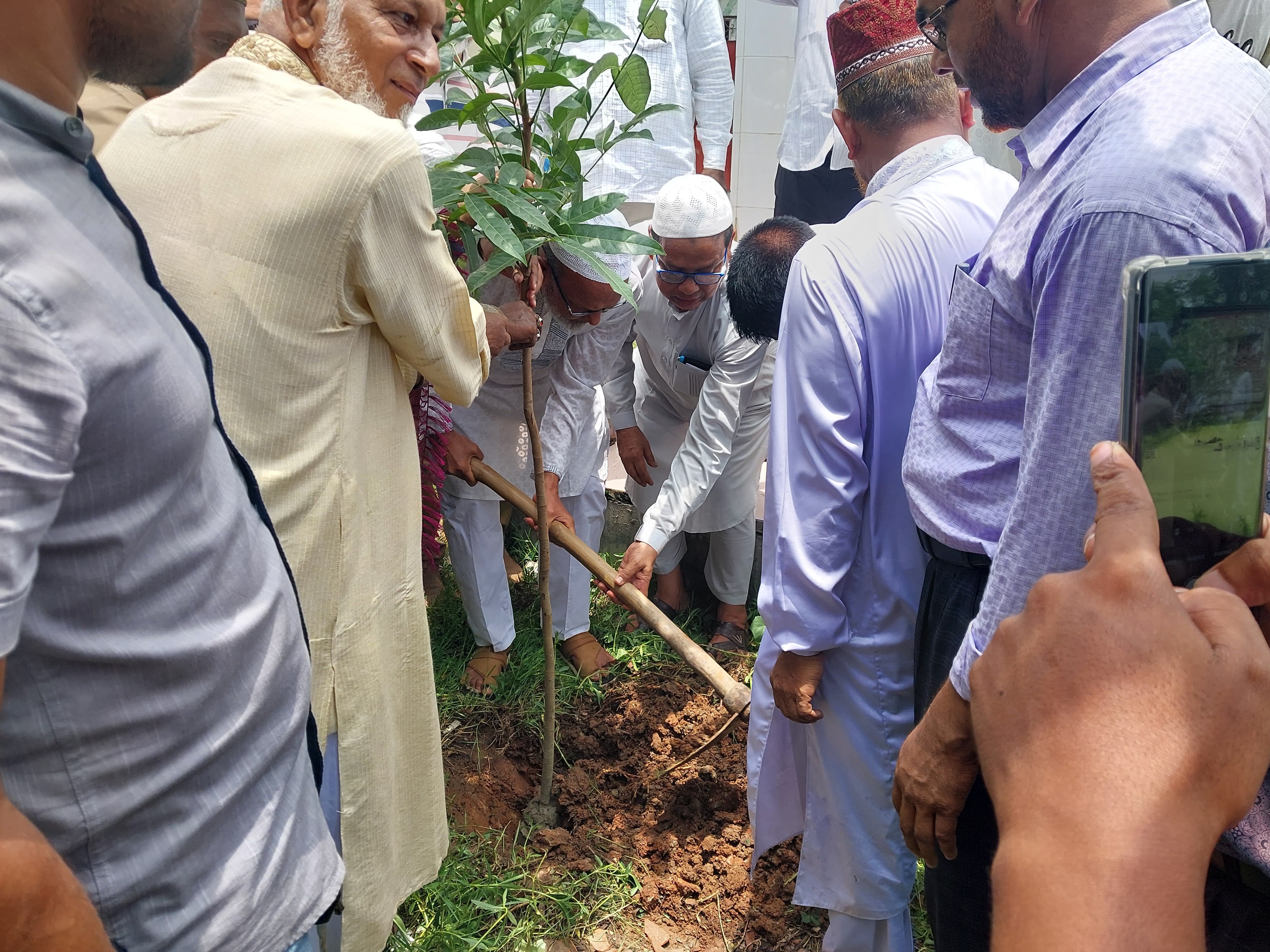 Tree Plantation